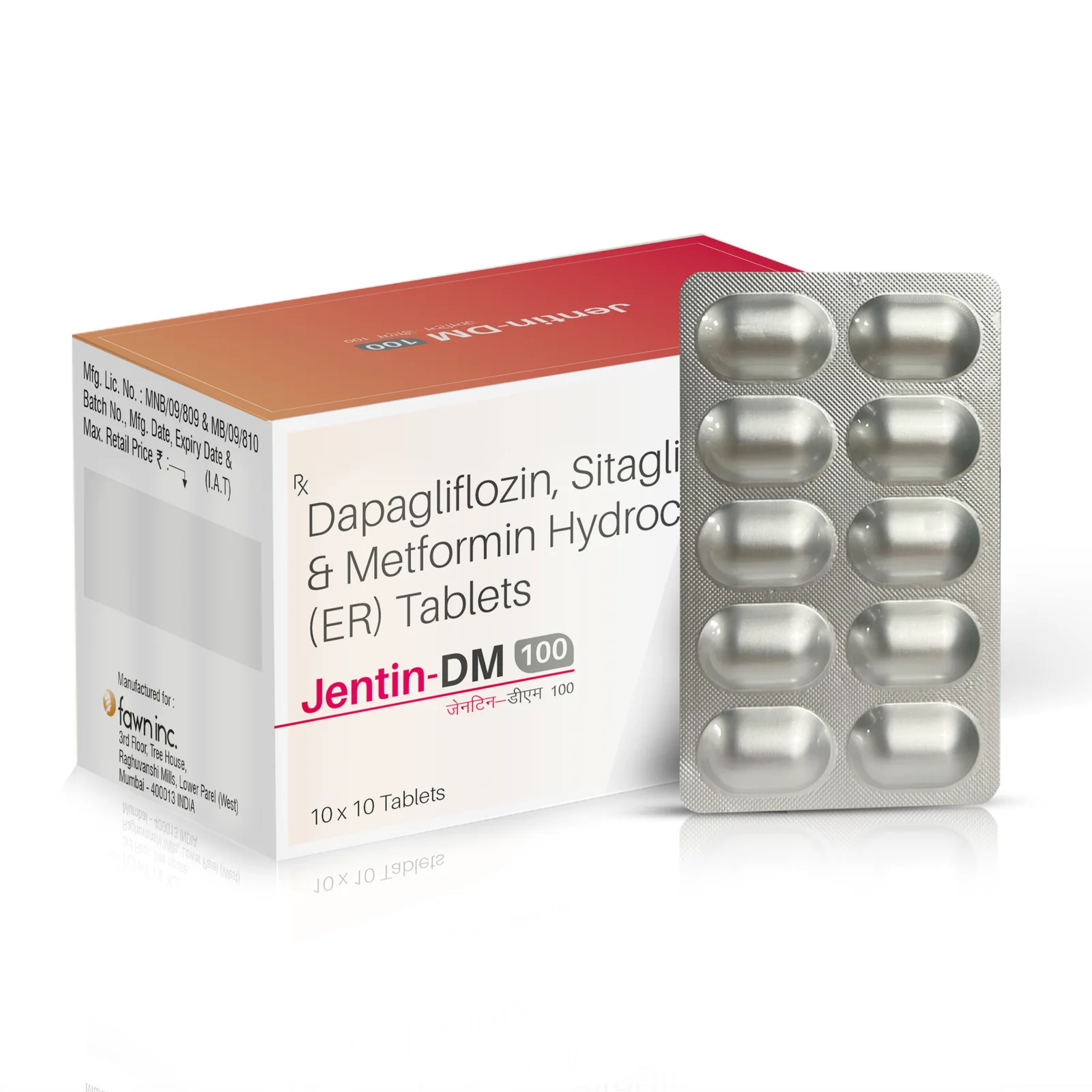 JENTIN DM 100