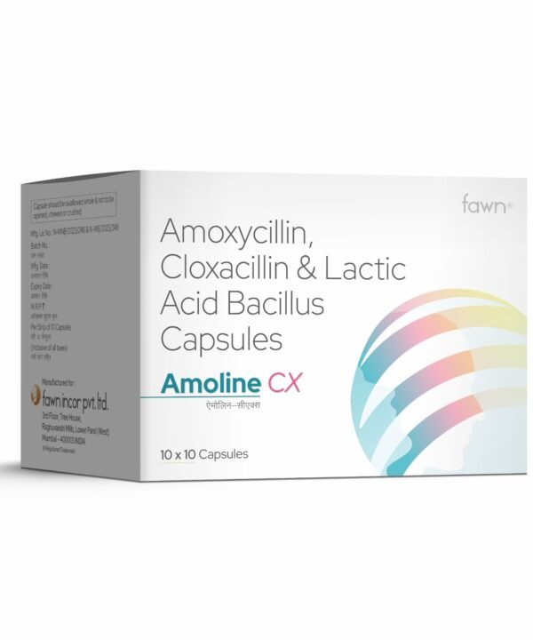 Amoxycillin, Cloxacillin & Lactobacillus Capsules - AMOLINE CX - Fawn Incor