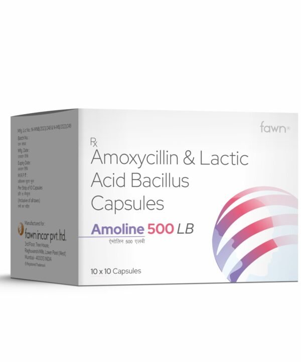 Amoxycillin & Lactic Acid Bacillus Capsules - AMOLINE 500 LB - Fawn Incor