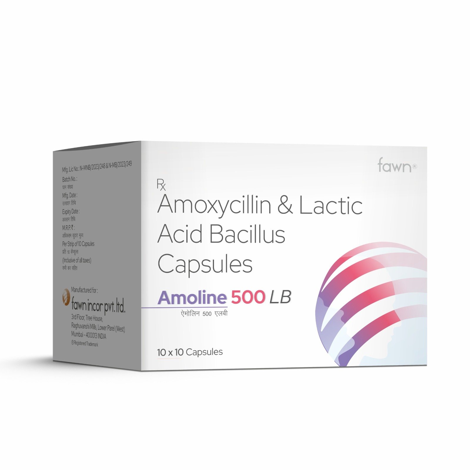 Amoxycillin & Lactic Acid Bacillus Capsules - AMOLINE 500 LB - Fawn Incor