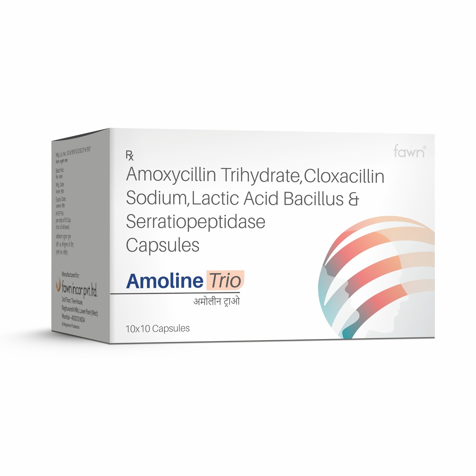 Amoxycillin Trihydrate, Cloxacillin Sodium, Lactic Acid Bacillus & Serratiopeptidase Capsules - AMOLINE TRIO - Fawn Incor